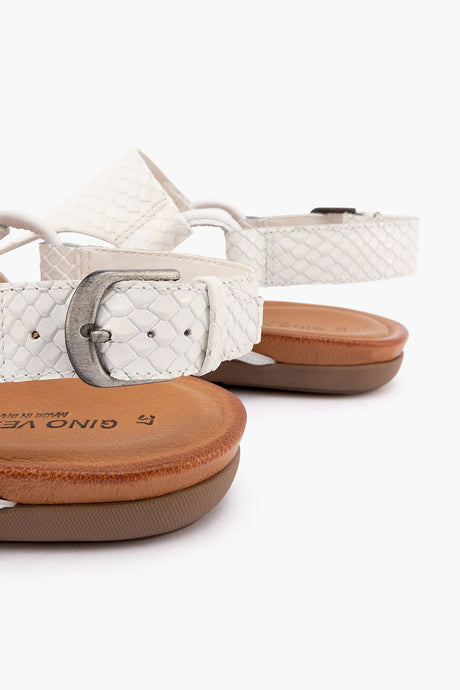 Gino Ventori Classic Polaris - White