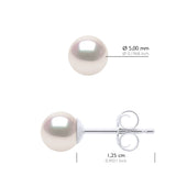 Earrings In White Gold 750 and Real Cultured Pearls AKOYA Japanese Certified Round 5-6 mm - Longueur 42 cm
