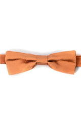 Dolce & Gabbana Men Bow Tie