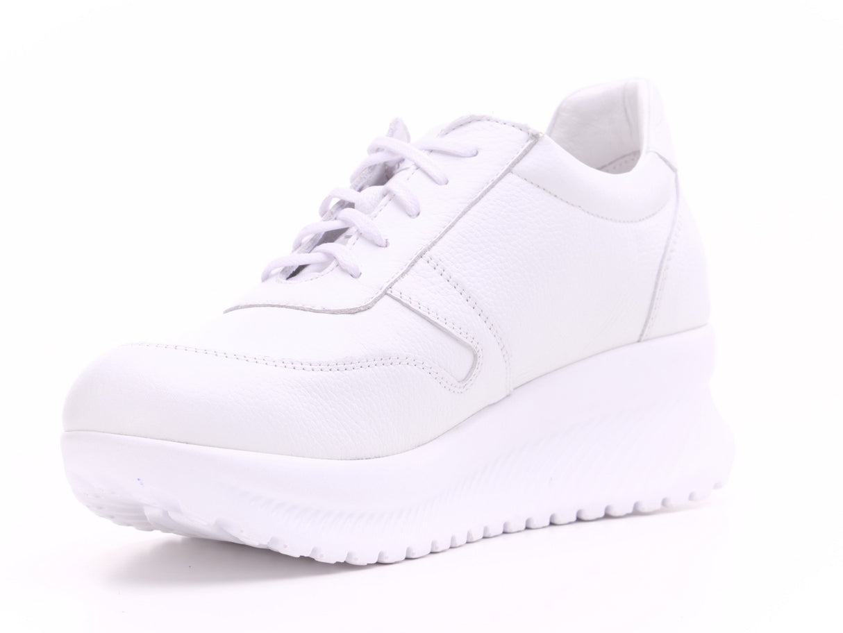 Bosccolo Womens Sneakers - White