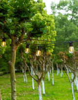 LumiFx 50 Bulb Wifi Smart Festoon Lights