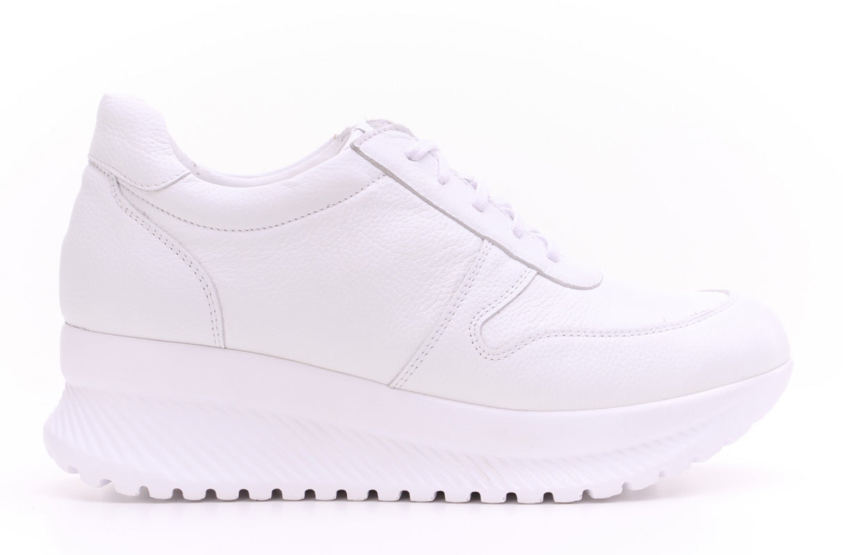 Bosccolo Womens Sneakers - White