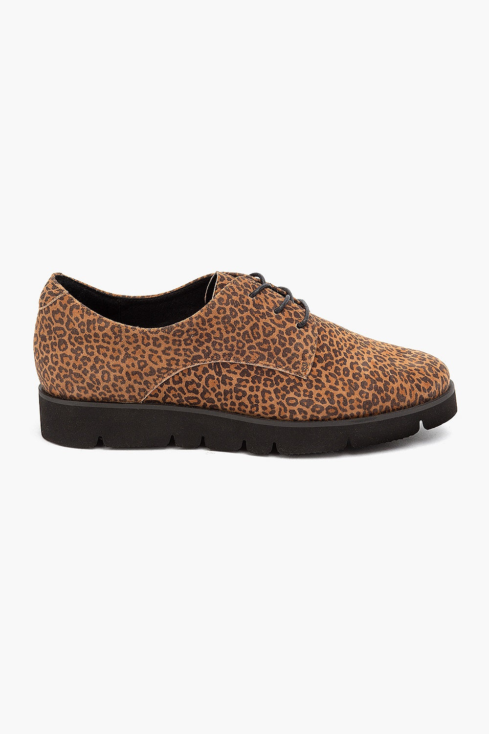 Klouds Hope II Leopard