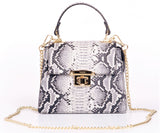 Bosccolo Handbag - Grey