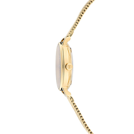 Ted Baker Womens Staciie Green Dial Gls Gold Mesh