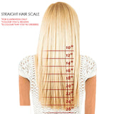 2Pcs Two Tone Ombre High Grade Silver Gray Straight Clip On Pony Tail 24" Hair Clamp11 2X