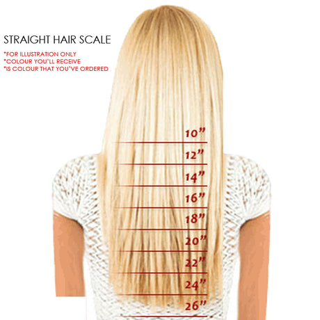 2Pcs Two Tone Ombre High Grade Silver Gray Straight Clip On Pony Tail 24" Hair Clamp11 2X