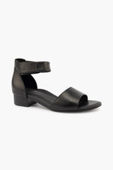 Silver Lining Quebec Black