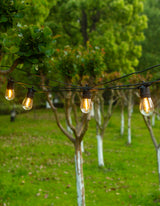 LumiFx 20 Bulb Wifi Smart Outdoor Festoon Lights