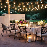 LumiFx 20 Bulb Festoon Lights 8 Lighting Effects