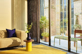 Brink & Campman Lace Mustard Outdoor 497006 Rug