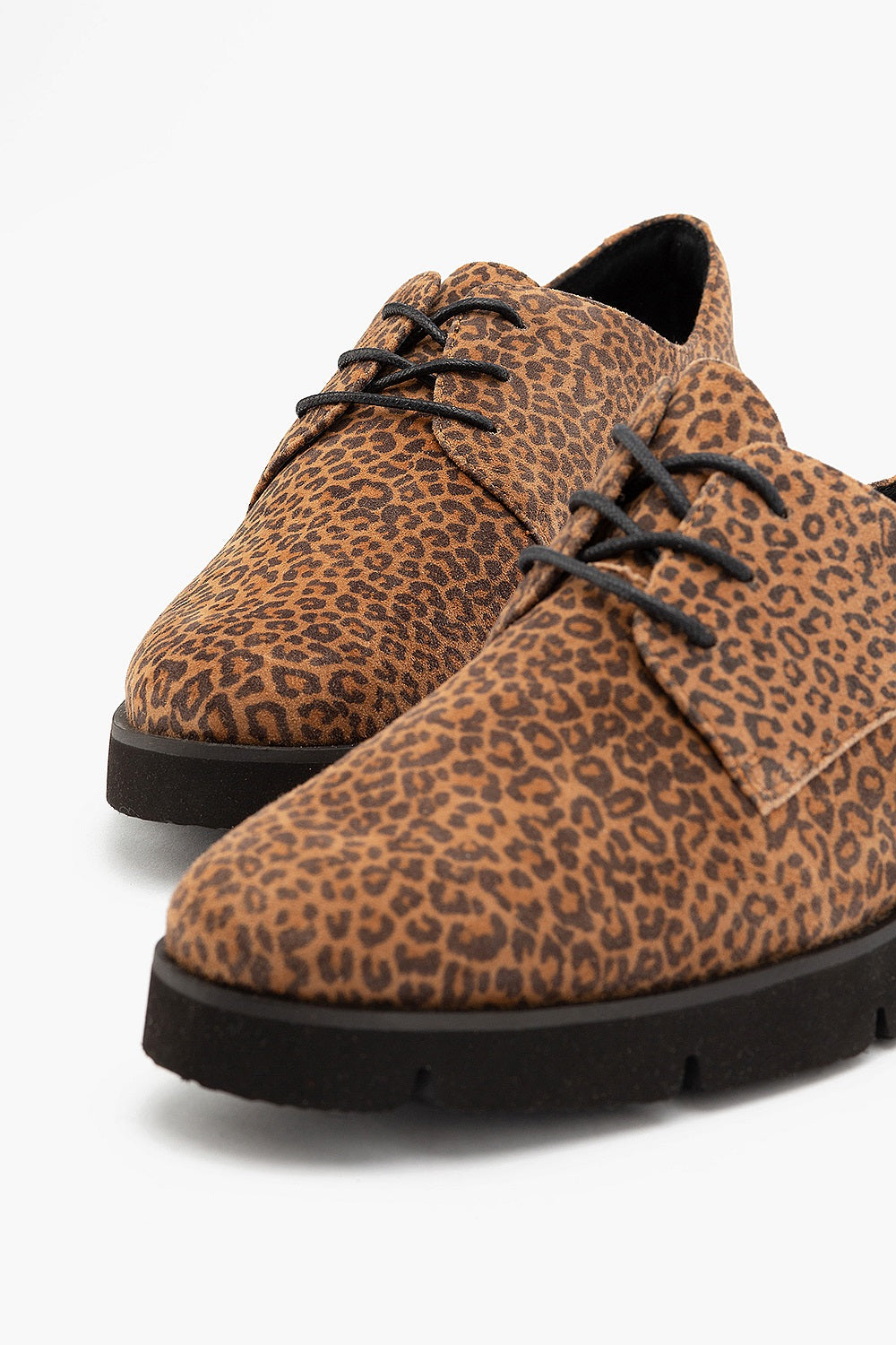 Klouds Hope II Leopard