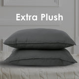 Royal Comfort Charcoal Bamboo Pillow Twin Pk