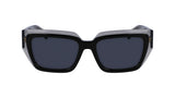 Salvatore Ferragamo SF2002S Womens Sunglasses - Transparent Grey/Black