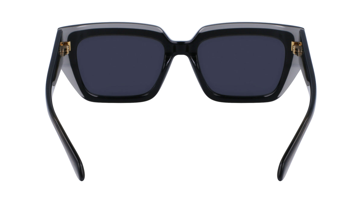 Salvatore Ferragamo SF2002S Womens Sunglasses - Transparent Grey/Black