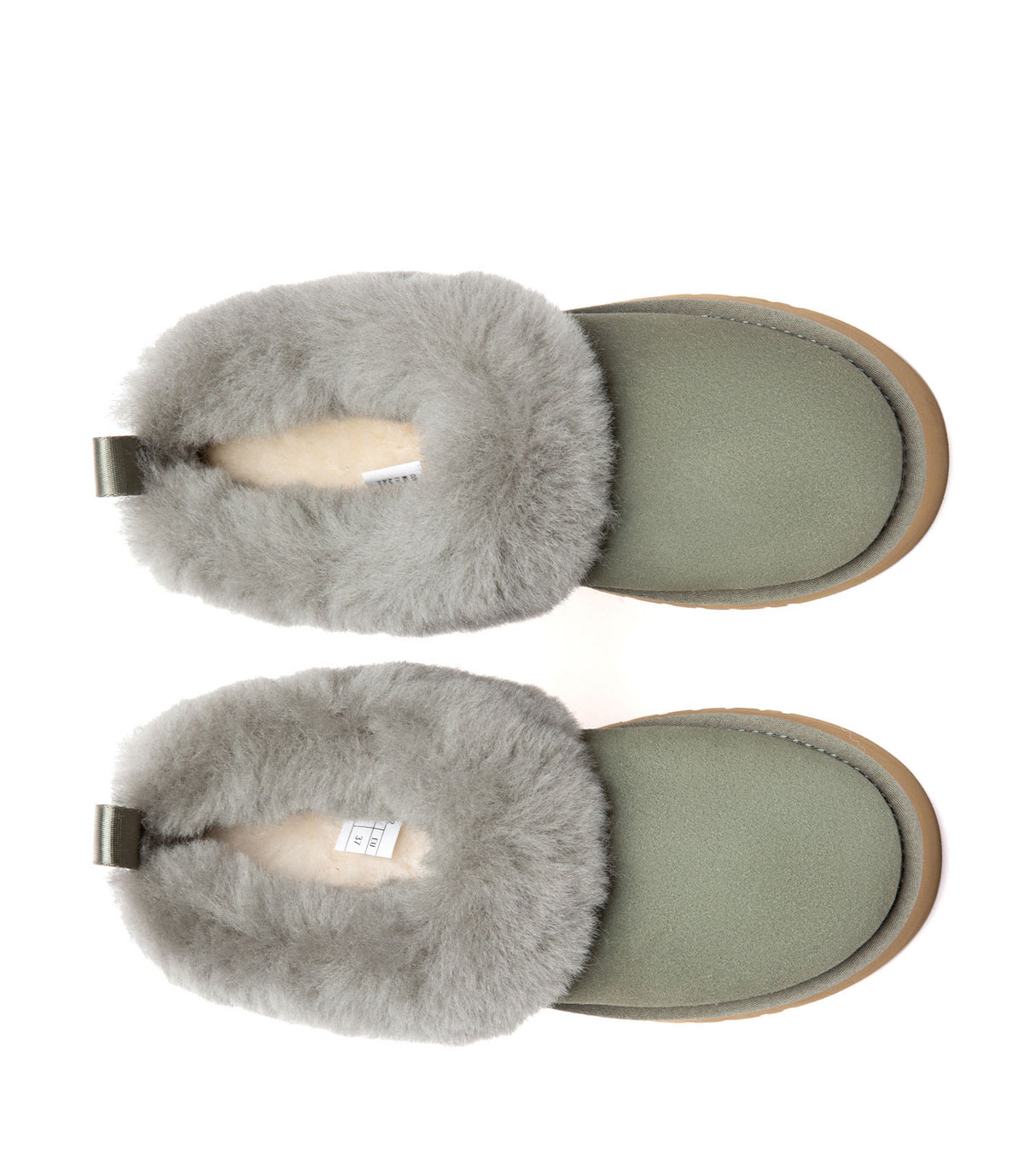 Australian Shepherd UGG Glacial - Moss Green