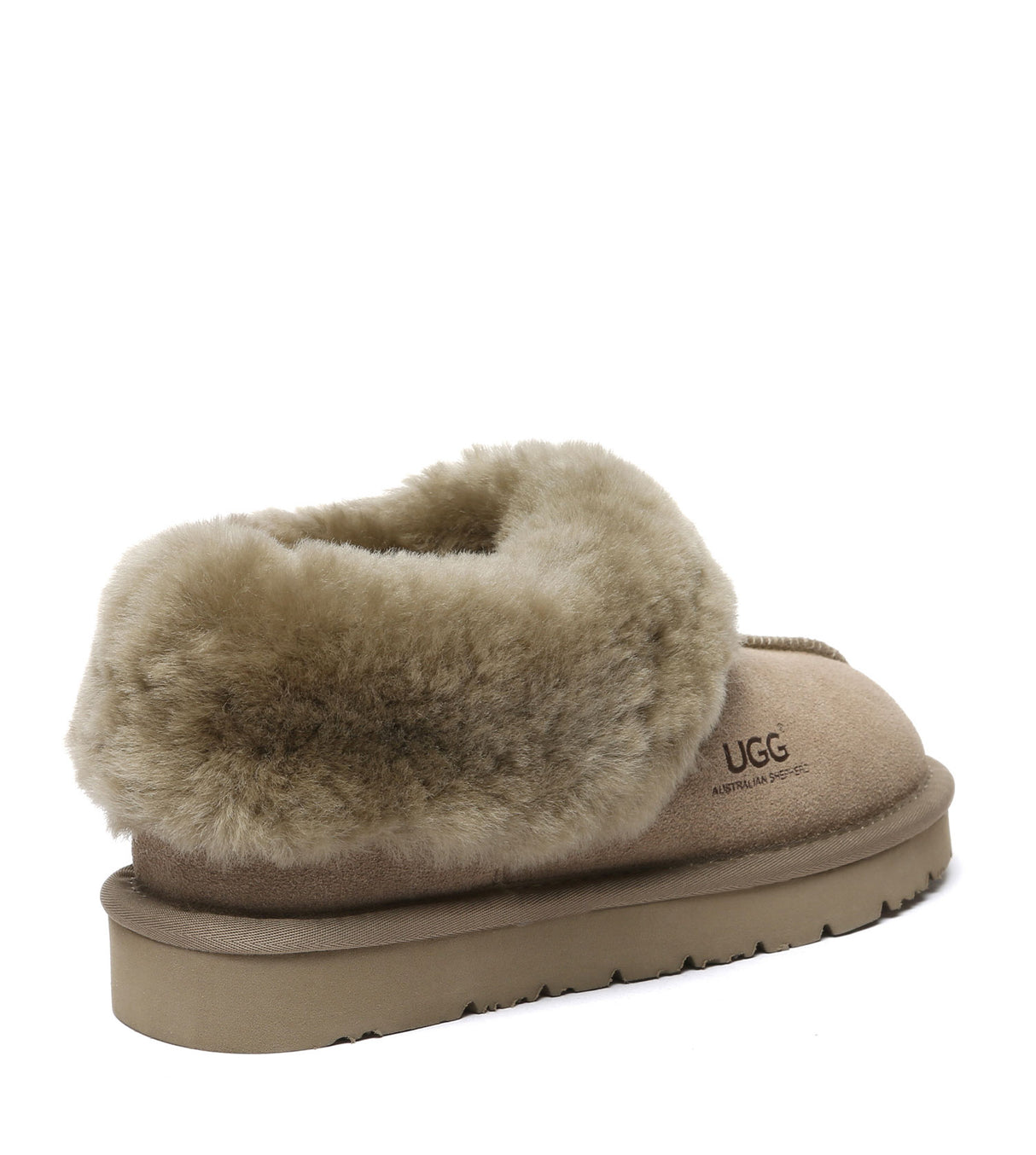 Australian Shepherd UGG Homey Special - Caribou