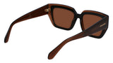 Salvatore Ferragamo SF2002S Womens Sunglasses - Transparent Brown/Brown