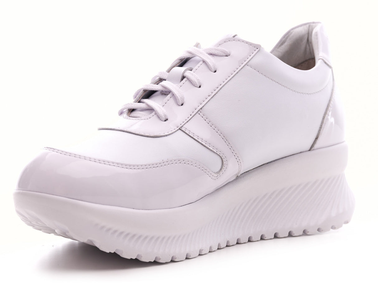 Bosccolo Womens Sneakers - White