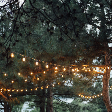 LumiFx 20 Bulb Festoon Lights 8 Lighting Effects