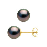 Earrings Tahitian Pearl Yellow Gold 7-8mm