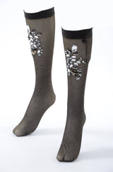 Dolce & Gabbana Women Cut Rhinestones Tights