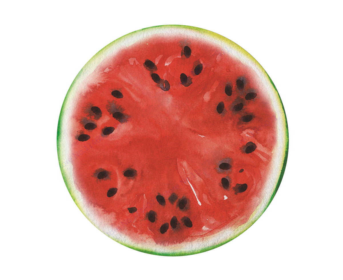 TODO Luxury Edition Chiffon Digital Print Beach Throw Yoga - Watermelon