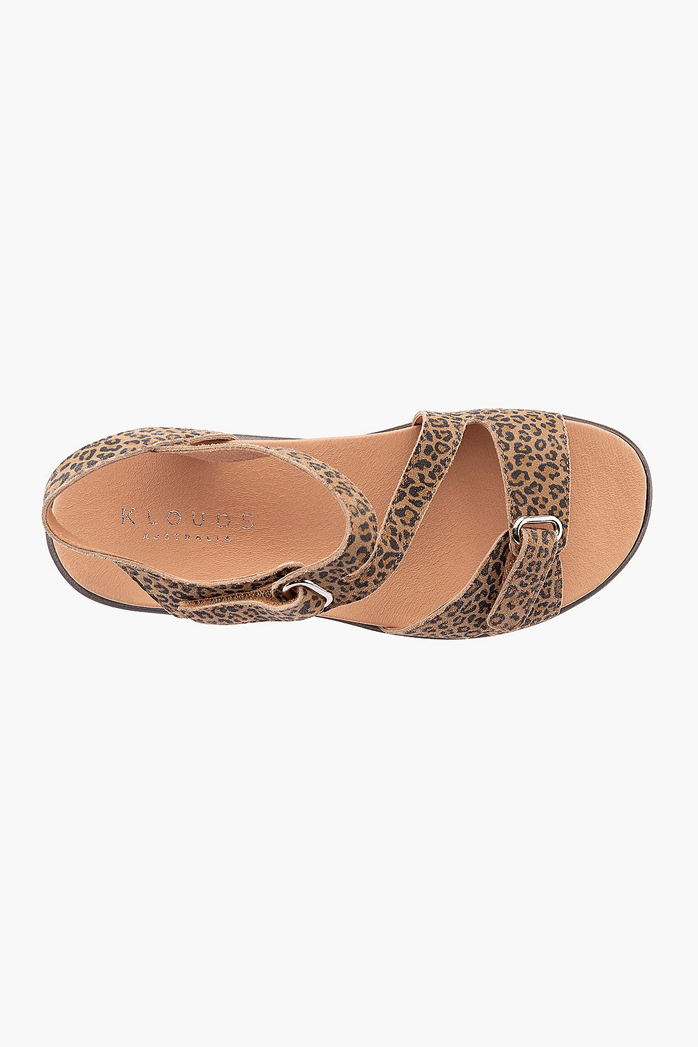 Klouds Abbey Leopard