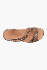 Klouds Abbey Leopard