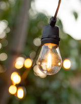 LumiFx 20 Bulb Wifi Smart Outdoor Festoon Lights