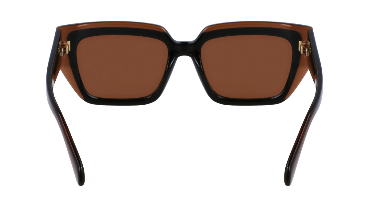 Salvatore Ferragamo SF2002S Womens Sunglasses - Transparent Brown/Brown