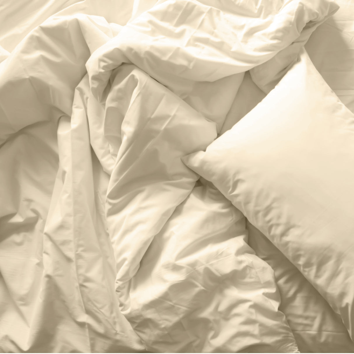 Royal Comfort Blended Bamboo Quilt Cover Sets -Dark Ivory-Double