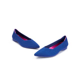 Charlotte Casual Pointed Toe Commuter Flats - Sapphire