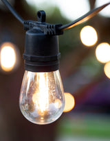 LumiFx 20 Bulb Wifi Smart Outdoor Festoon Lights