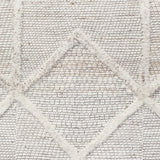 Visions 5055 Grey Rug