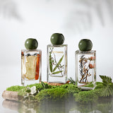 Apple Cinnamon Wildwood Reed Diffuser