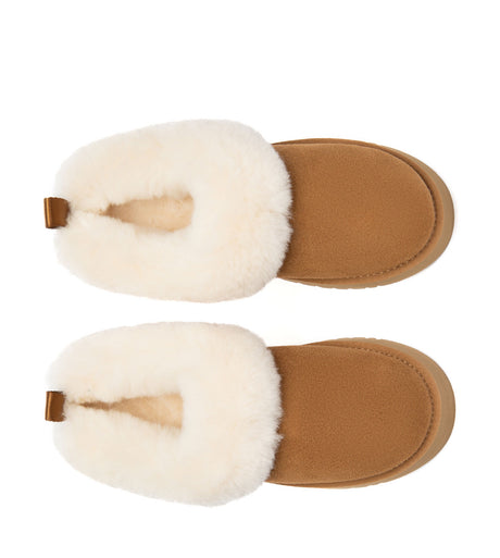Australian Shepherd UGG Glacial - Chestnut