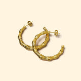 Bullion Gold Bamboo Connector Hoop Gold Layered Earrings