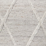 Visions 5051 Silver Rug