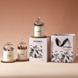 Fresh Spring Botanical Candle Set