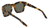 Dragon DR WAVERLY LL Womens Sunglasses - Tokyo Tortoise
