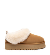 Australian Shepherd UGG Glacial - Chestnut/Brown