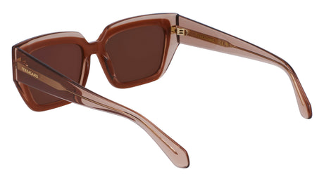 Salvatore Ferragamo SF2002S Womens Sunglasses - Transparent Nude/Rose