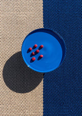 Brink & Campman Deck Electric Blue Outdoor 496708 Rug
