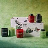 Healing Wood Longjing Candle & Diffuser Gift Set