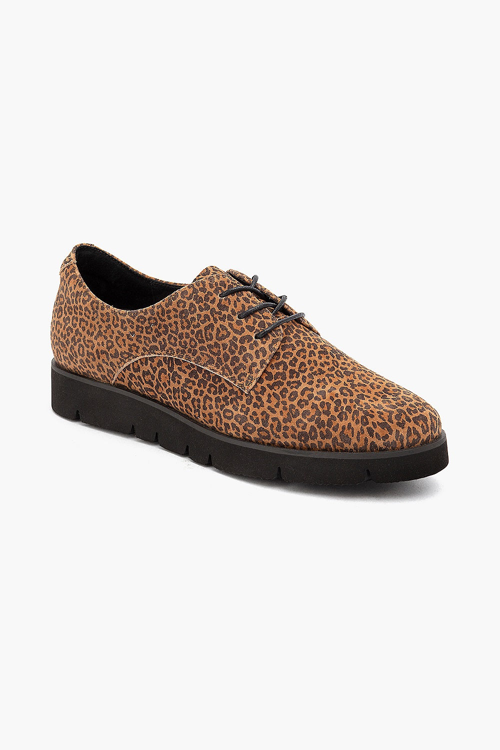Klouds Hope II Leopard