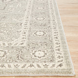 Evoke 261 Silver Rug