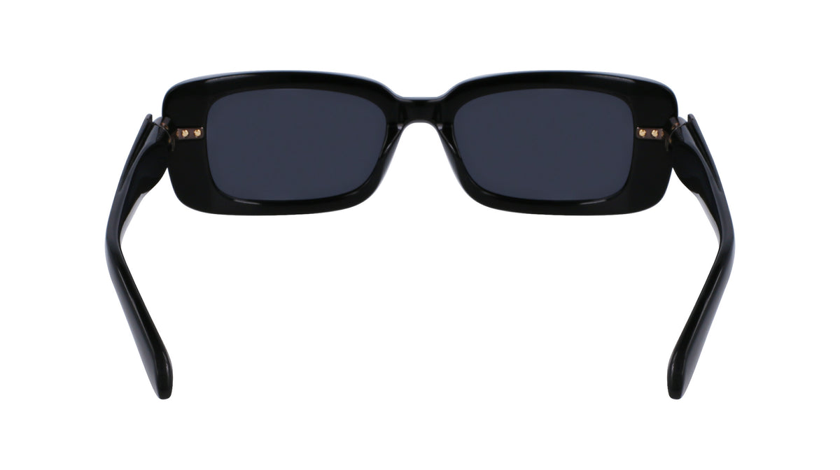 Salvatore Ferragamo SF1105S Womens Sunglasses - Black