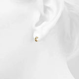 Bullion Gold Iris Zircon Gold Hoop Earrings