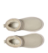 Australian Shepherd UGG Jade - Canola